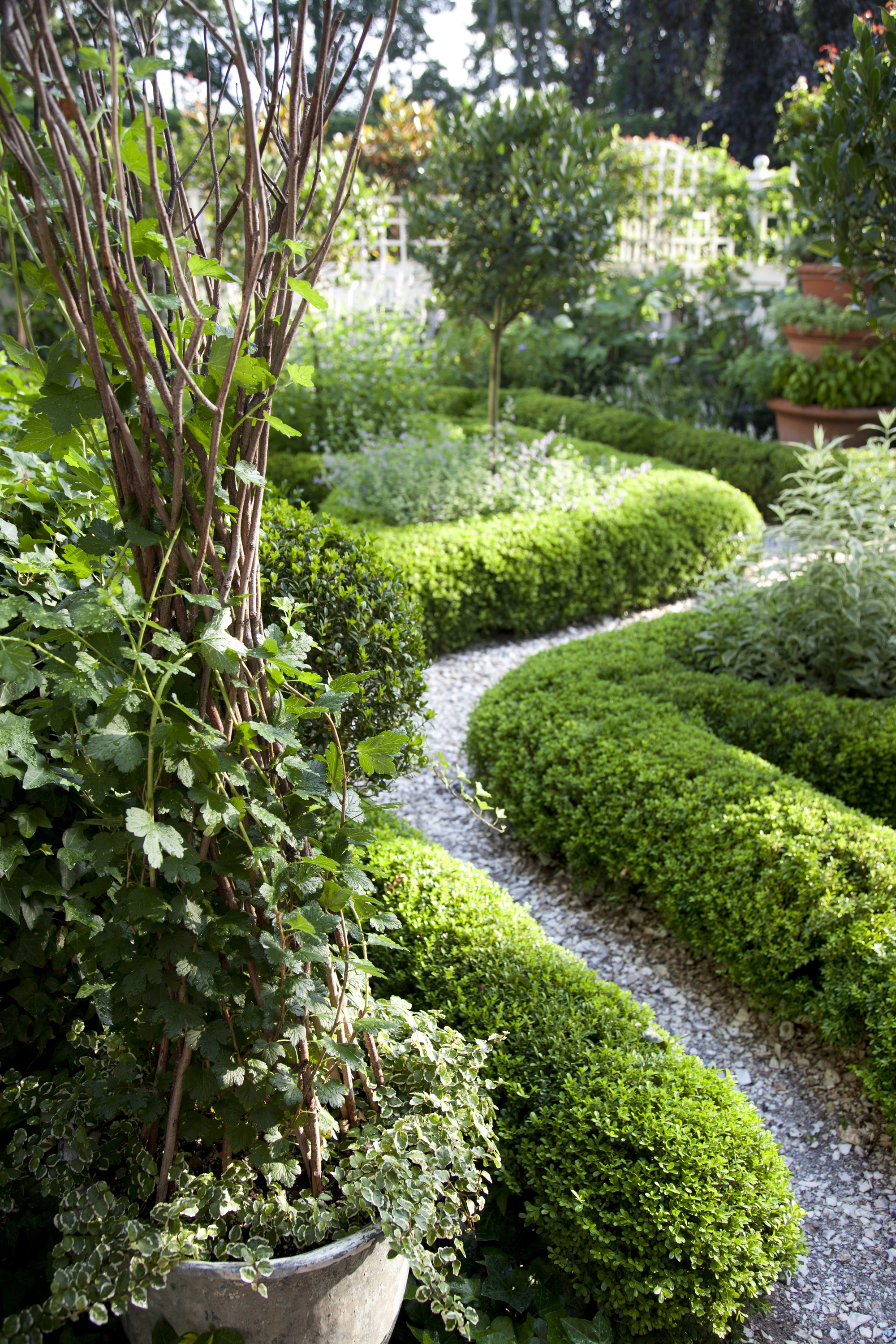 51 front yard and backyard landscaping ideas landscaping designs