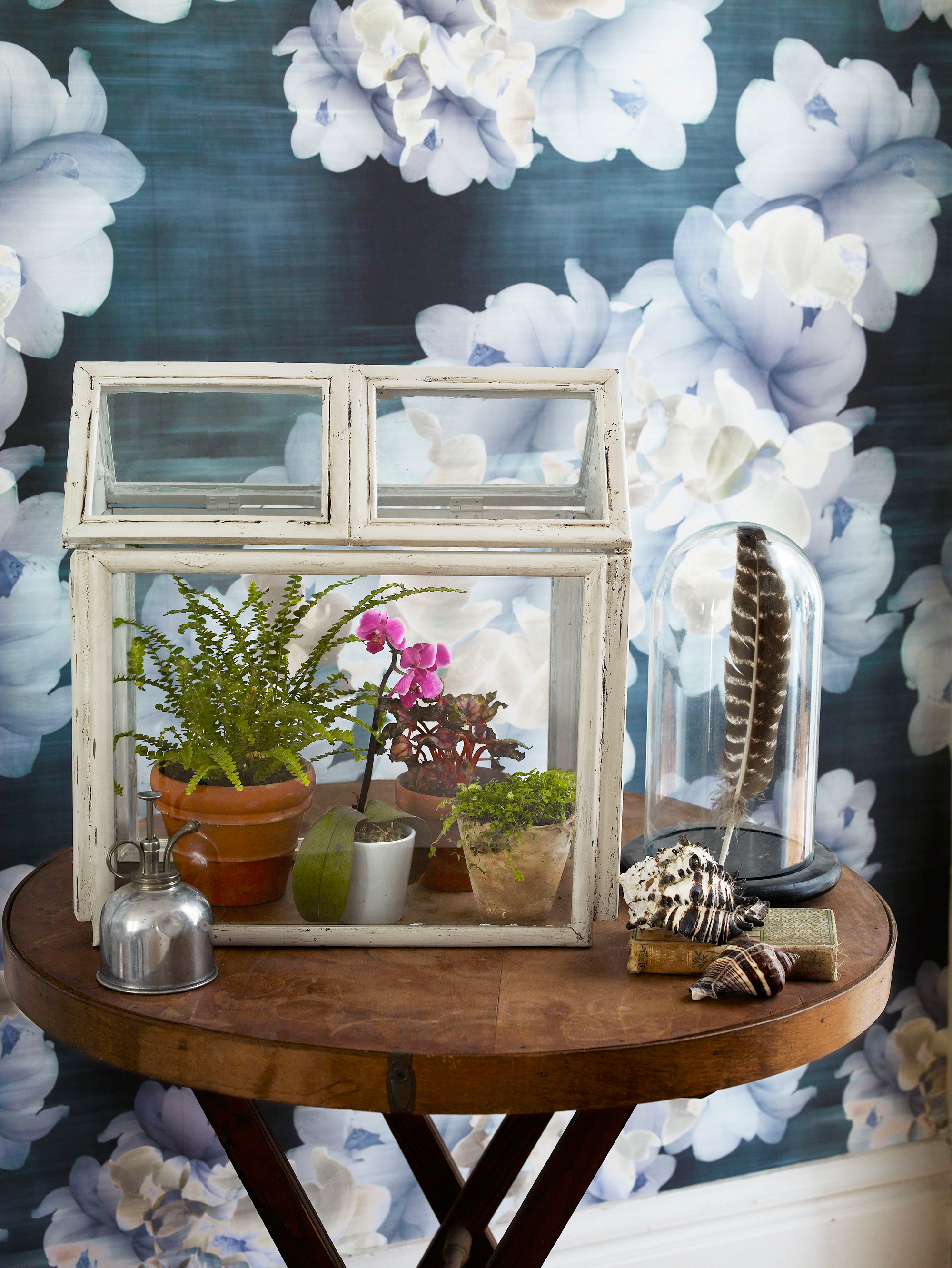 Make Terrariums How To Build Terrariums