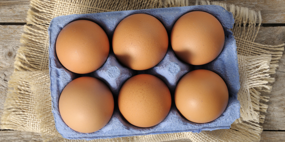 Top 10 Health Benefits of Eating Eggs and 35 Best Eggs Recipes