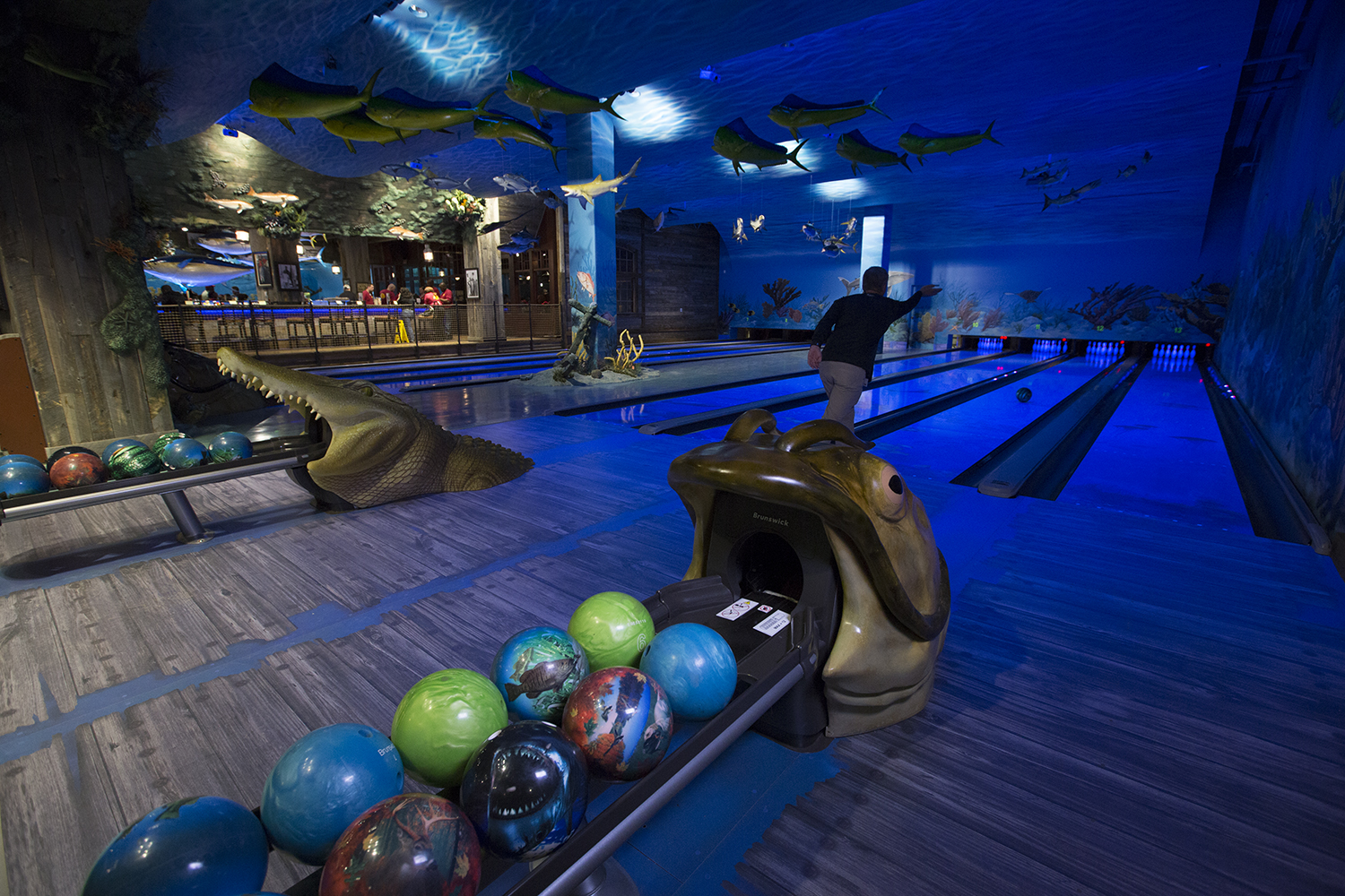 This New Outdoor Recreation MegaStore Includes an Alligator Swamp, a