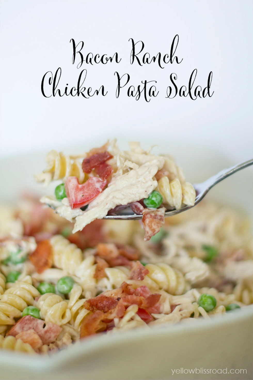 Recipes for cold chicken pasta salad Recipes for cold chicken pasta salad