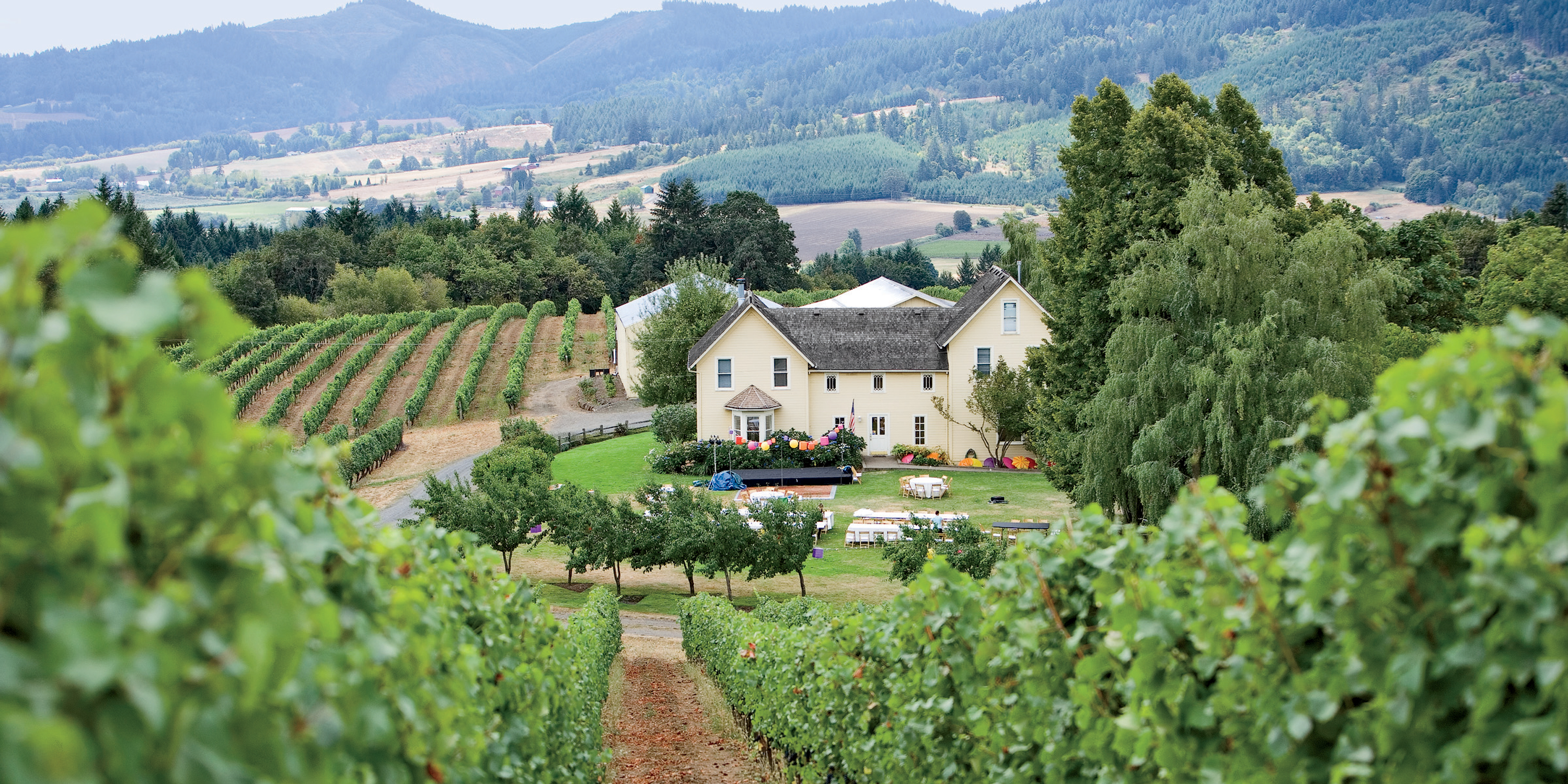 19 Vineyard Wedding Ideas Willamette Valley Oregon Winery Wedding
