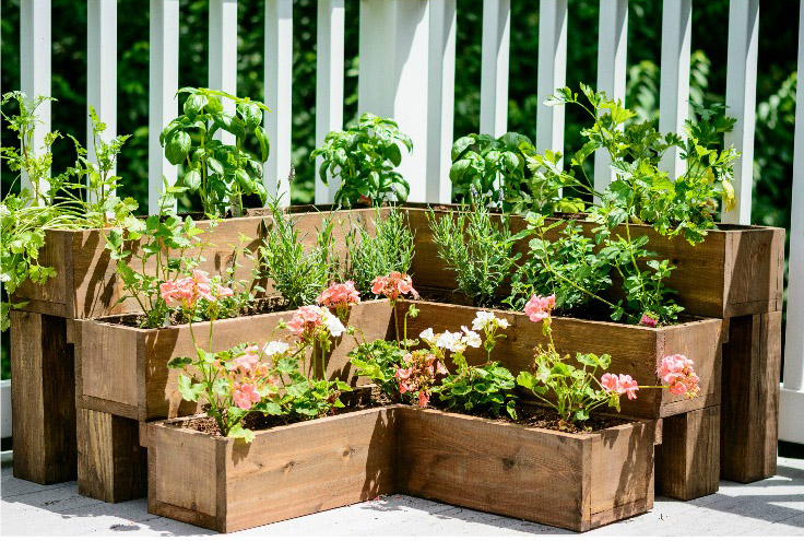 Tiered Planters