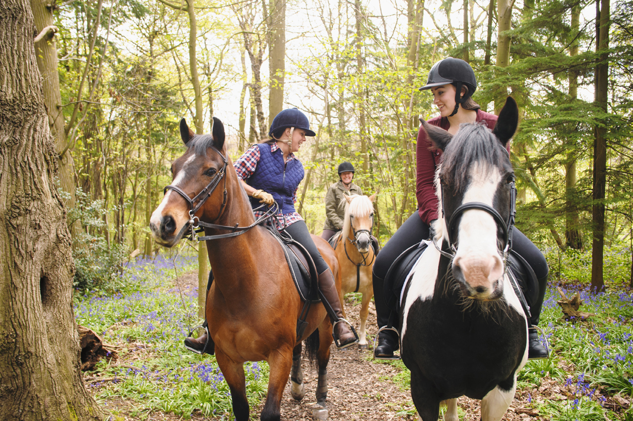 horseback riding vacation where to go horseback riding christmas vacation neighbors