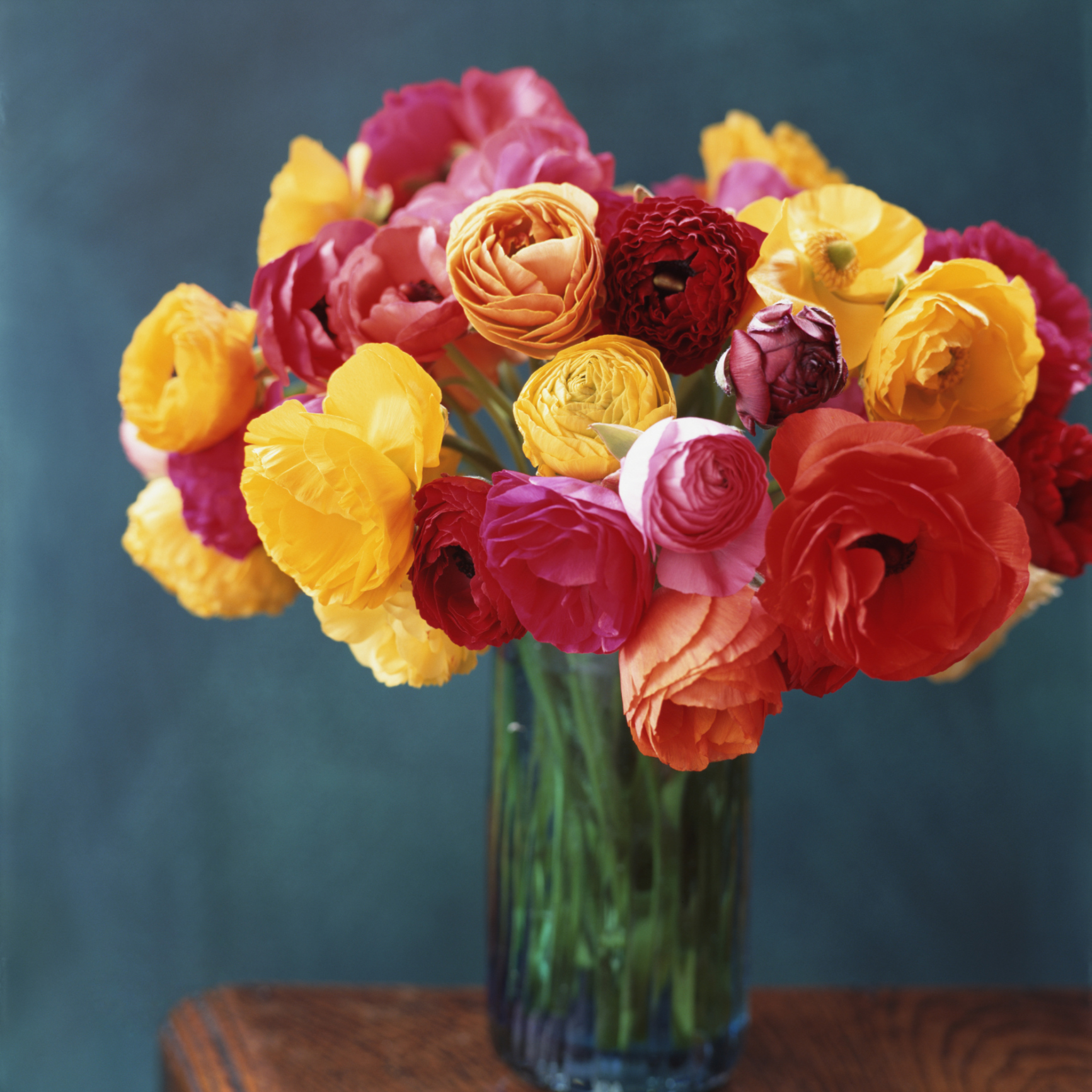 Summer Flowers The Most Popular Blooms for Every Month