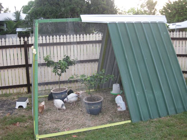 Diy chook houses Diy chook houses