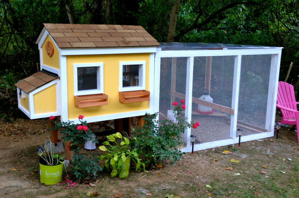 Diy hen house Diy hen house