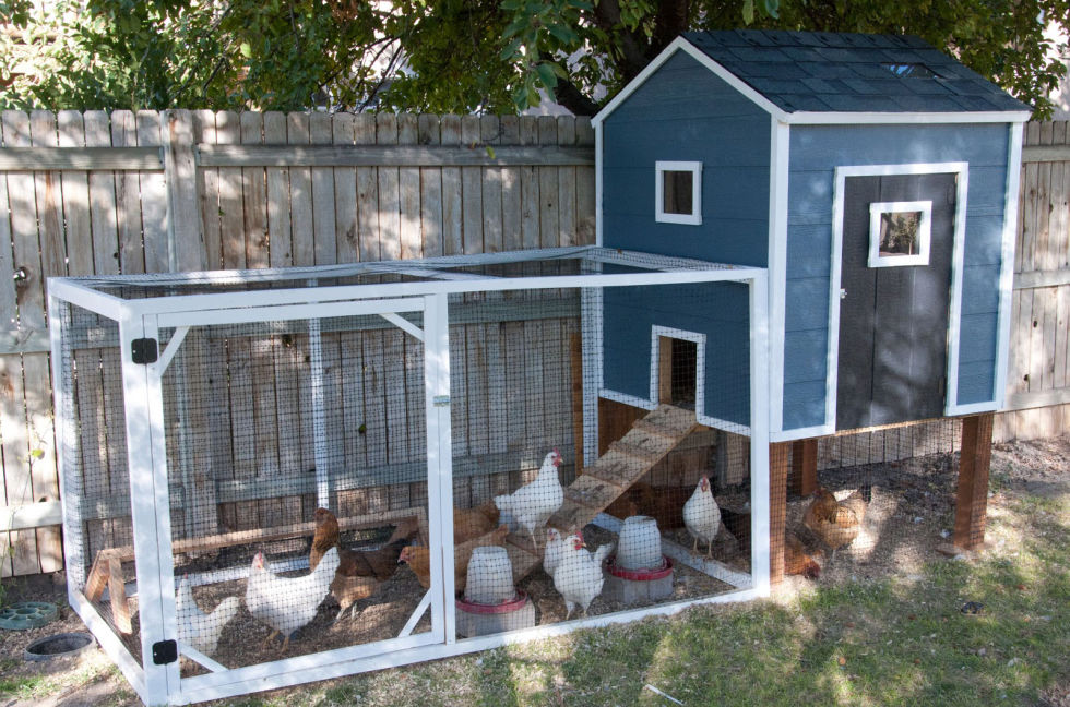 Image result for chicken coop