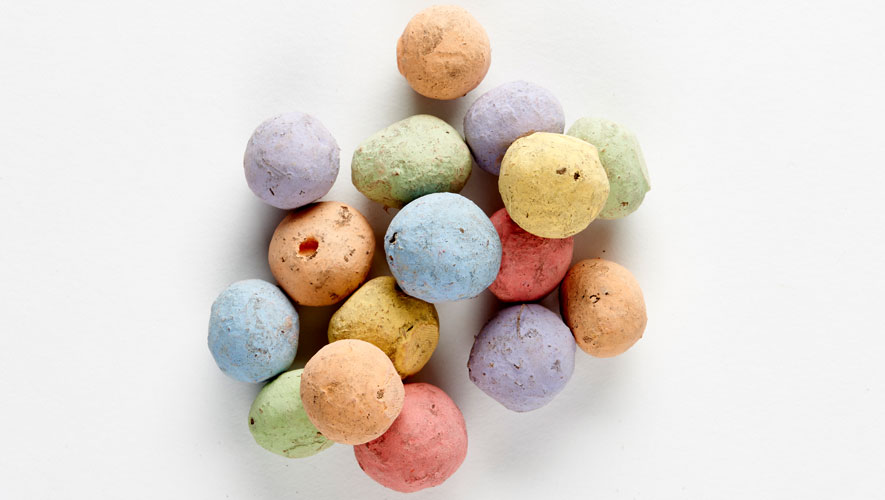 wildflower seed bombs — plants for bees