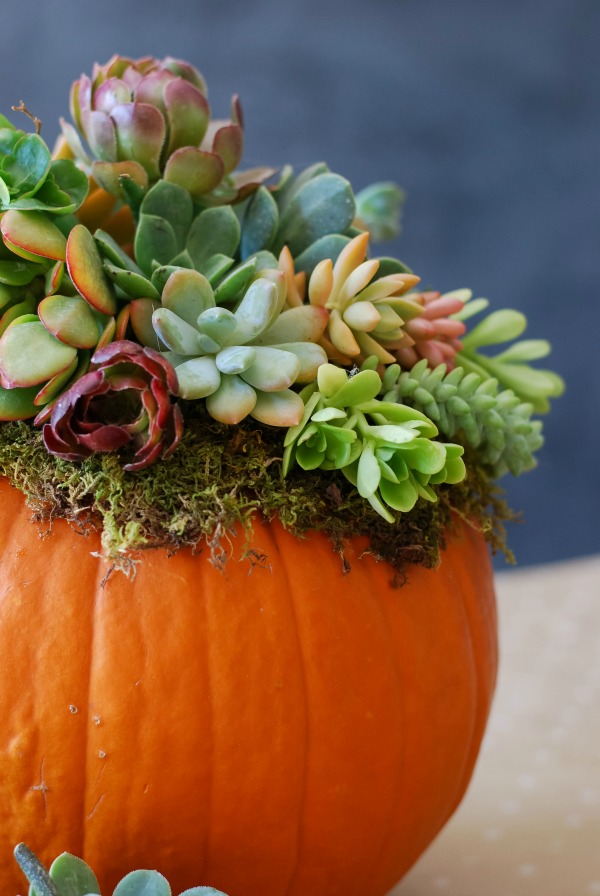 88 cool pumpkin decorating ideas easy halloween pumpkin decorations and crafts 2017 - Pumpkins Decorations 88 cool pumpkin decorating ideas easy halloween pumpkin decorations and crafts 2017 - Pumpkins Decorations