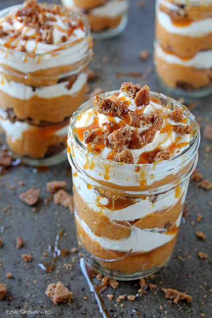 Salted Caramel Brownie Cake Pop Recipe Salted Caramel Brownie Cake Pop Recipe
