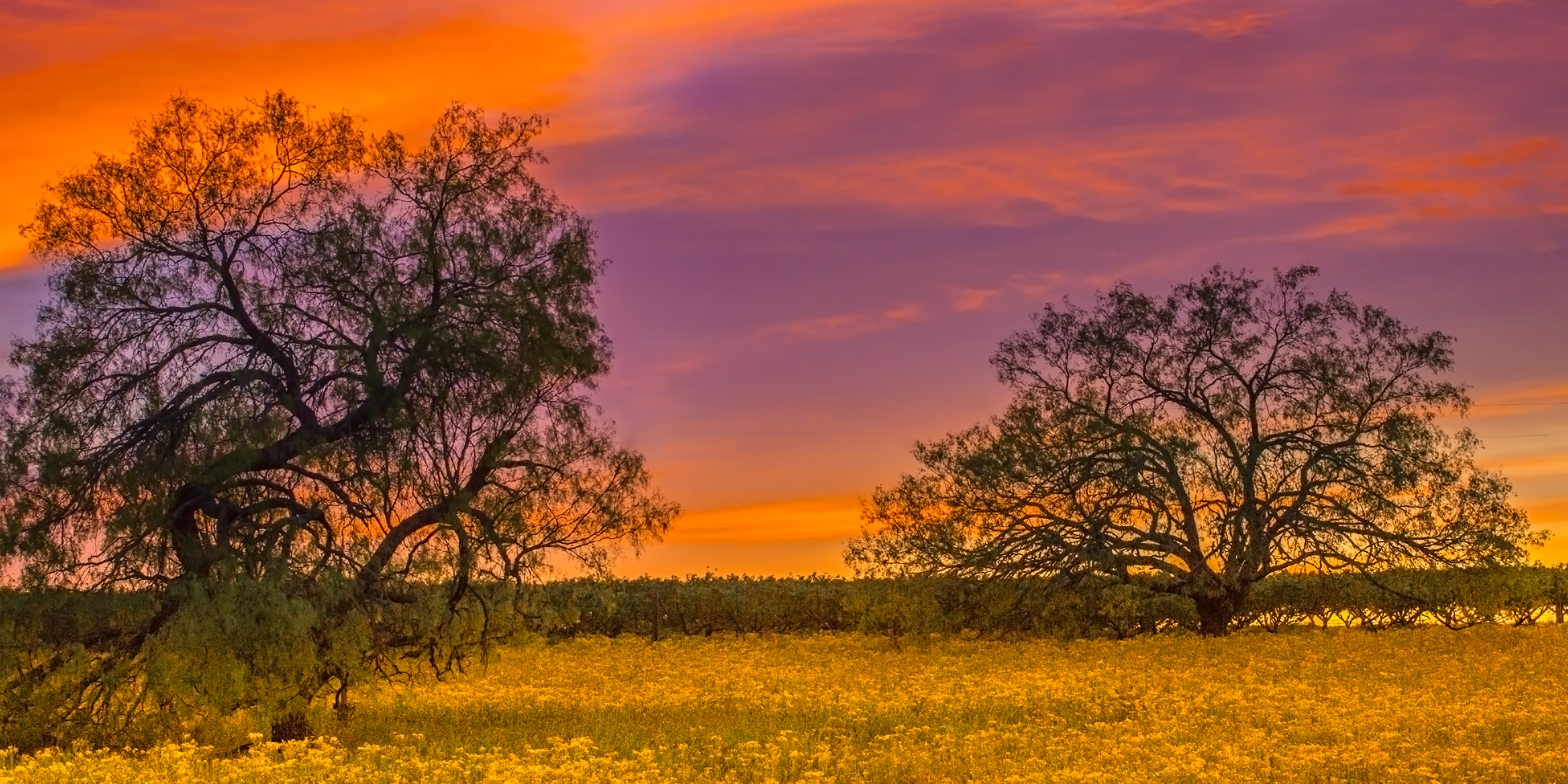 Most Popular States to Move To in 2015 Americans Moving to the South