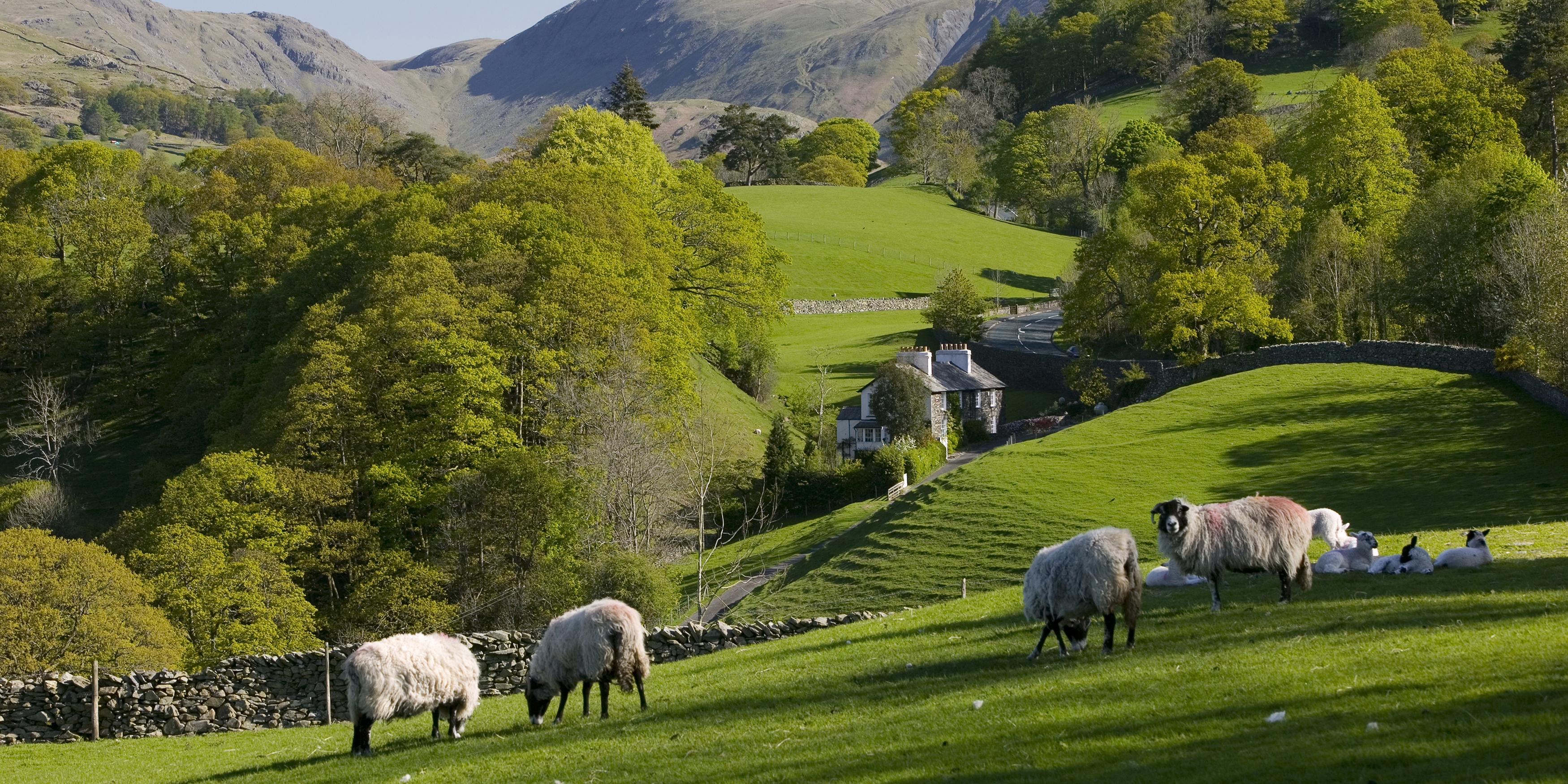 THE MOST BEAUTIFUL ENGLISH COTTAGES PICTURES STUNNING ENGLISH COUNTRY COTTAGES AND HOMES IMAGES 1456432129 gettyimages 126374776 - THE MOST BEAUTIFUL ENGLISH COTTAGES PICTURES STUNNING ENGLISH COUNTRY COTTAGES AND HOMES IMAGES