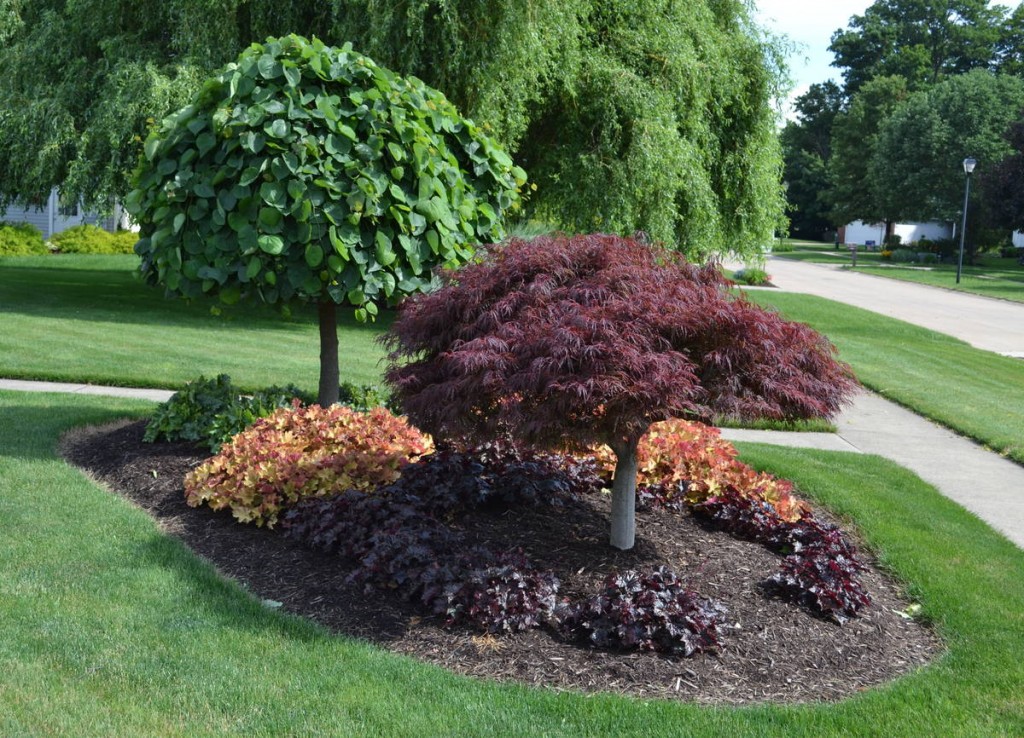 10 Cheap Landscaping Ideas - Budget-Friendly Landscape Tips