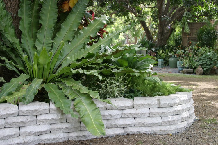 Garden Ideas On A Budget 12 cheap landscaping ideas - budget-friendly landscape tips for Garden Ideas On A Budget 12 cheap landscaping ideas - budget-friendly landscape tips for