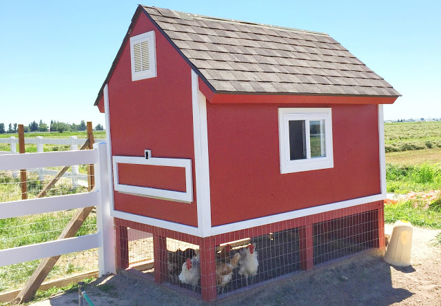 Home chicken coop ideas Home chicken coop ideas