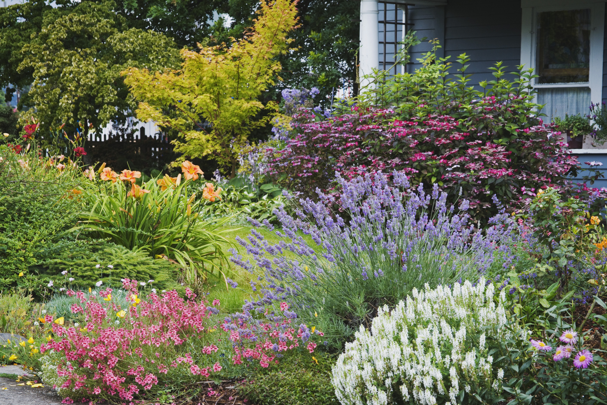 Garden Design Easy Maintenance 17 landscaping ideas for a low-maintenance yard Garden Design Easy Maintenance 17 landscaping ideas for a low-maintenance yard