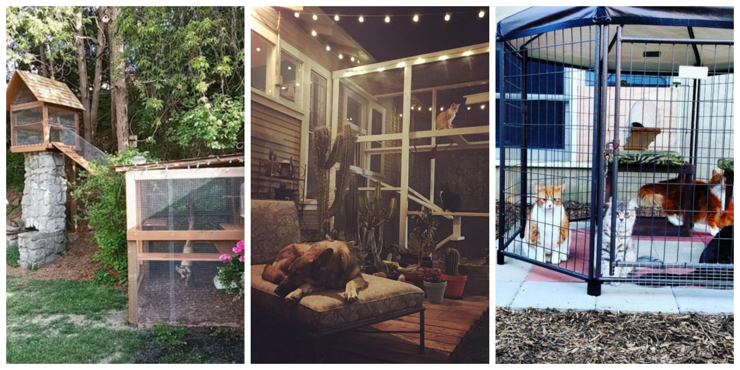 14 Amazing Catios You Have to See Catio Ideas, DIYs, and Window Boxes