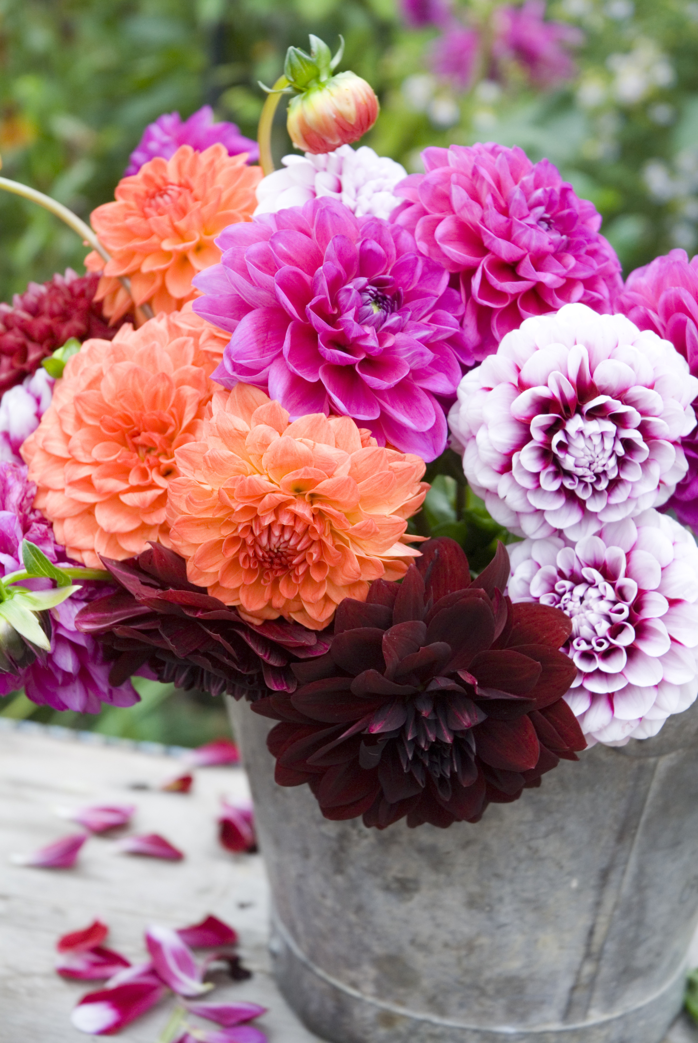 tips to create a perfect flower garden flowers blog flower garden pictures pictures of tips to create a perfect flower garden flowers blog flower garden pictures pictures of