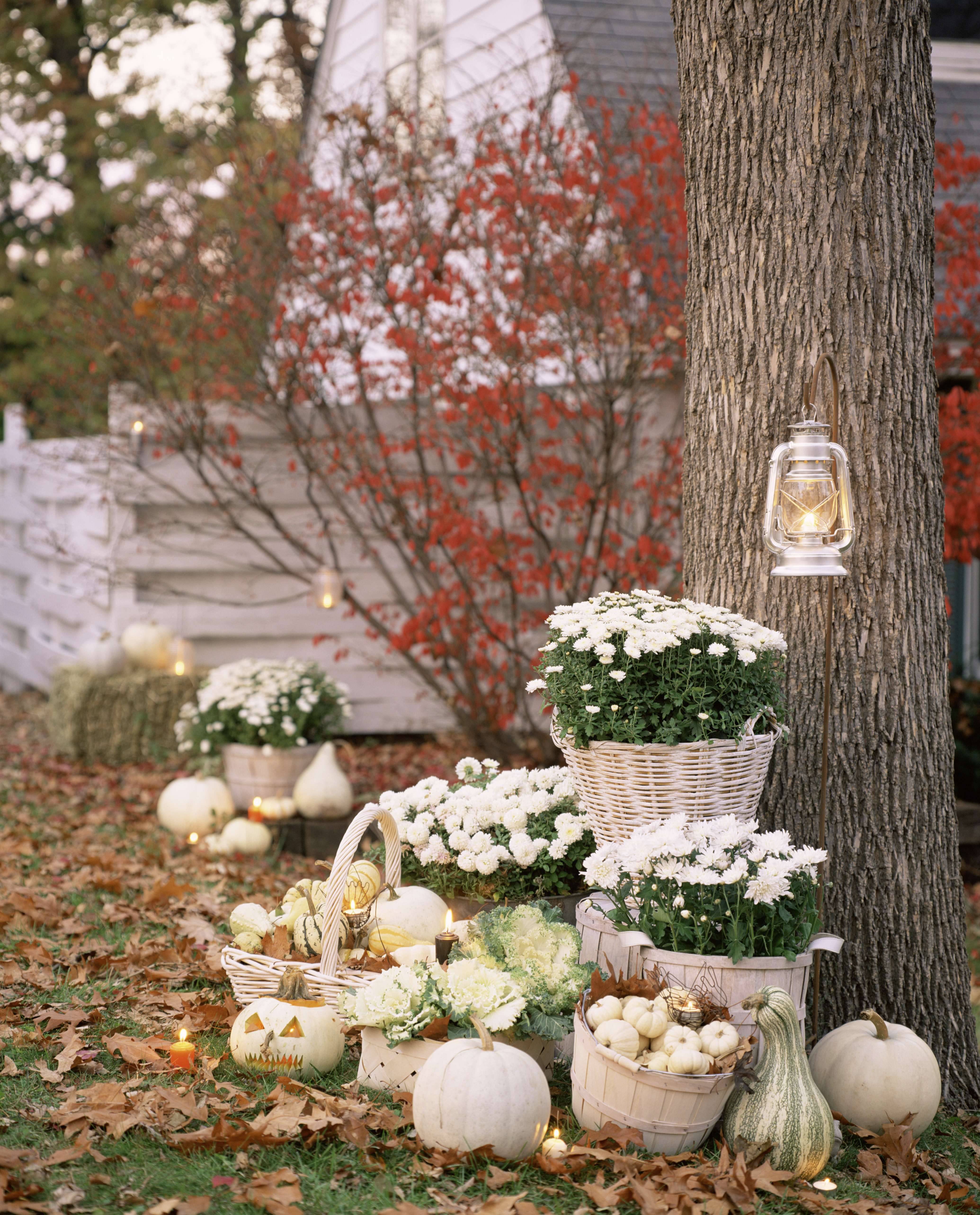35 best outdoor halloween decoration ideas easy halloween yard and porch decor - Outdoor Halloween Ideas 35 best outdoor halloween decoration ideas easy halloween yard and porch decor - Outdoor Halloween Ideas