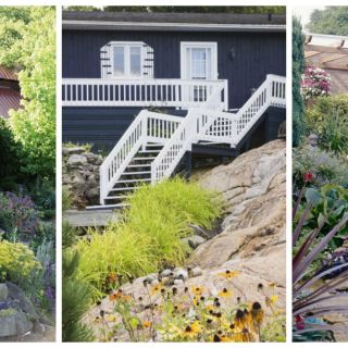 gardening connoisseur and childrens book author chris young shares his best advice for creating an eye - Flowers For Home Garden gardening connoisseur and childrens book author chris young shares his best advice for creating an eye - Flowers For Home Garden