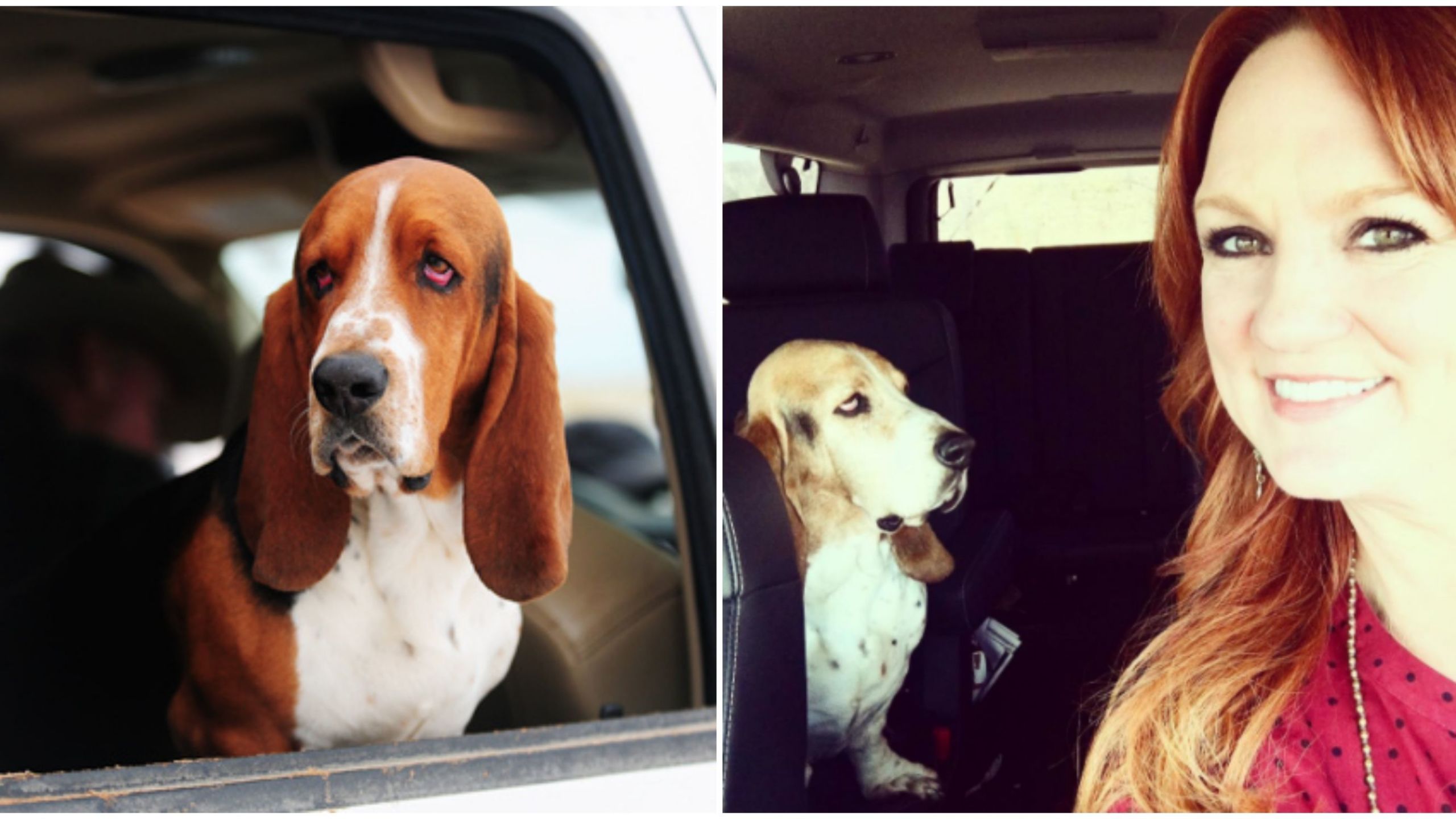 How Many Bassets Does Ree Drummond Have