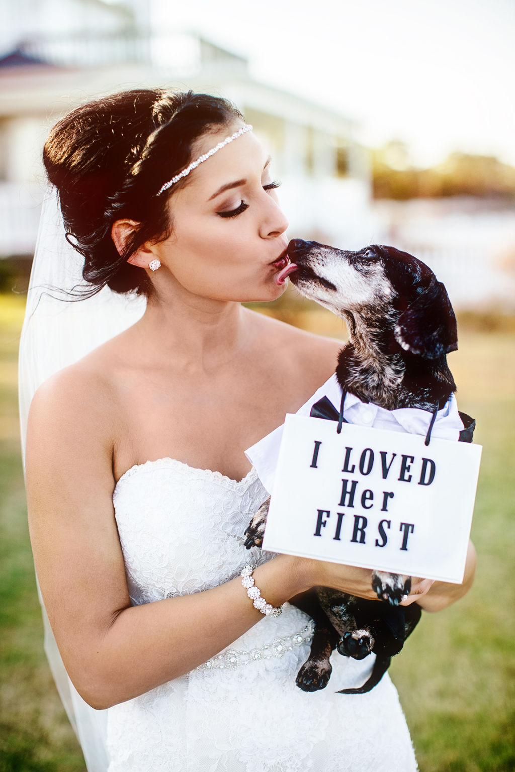 Dogs at Weddings - How to Include Your Dog in Your Wedding