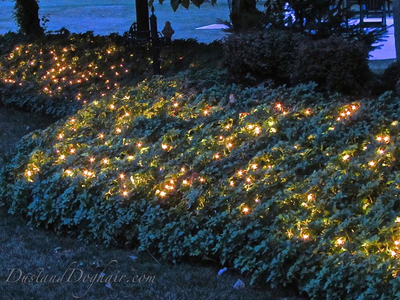 18 Backyard Lighting Ideas How to Hang Outdoor String Lights