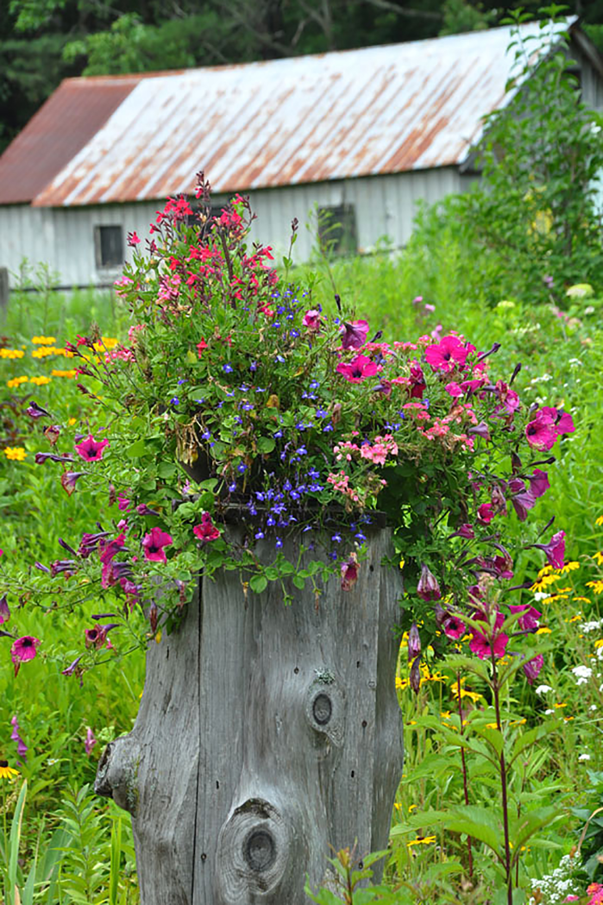 25 Small Backyard Ideas - Beautiful Landscaping Designs for Tiny Yards