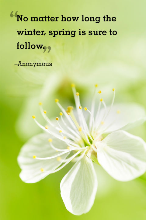 30 Best Spring Quotes - Sayings About Spring