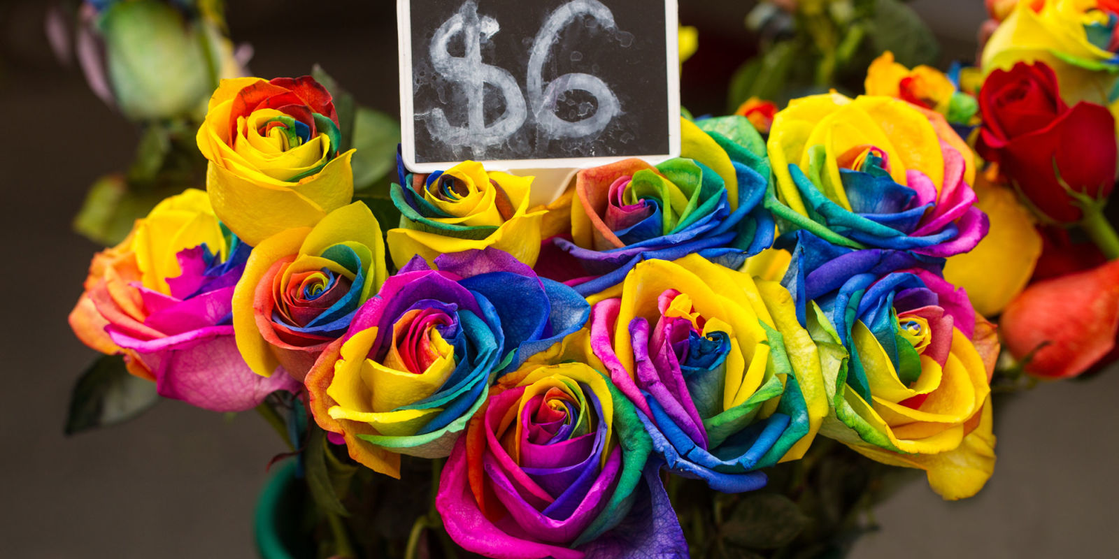 These "Unicorn" Roses Are Causing Quite the Stir RainbowColored