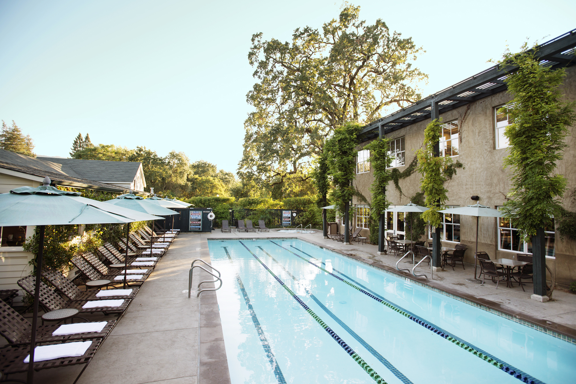 8 California Wine Country Vacation Ideas