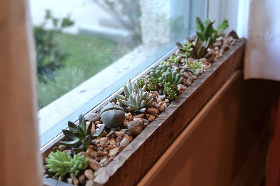 Indoor Garden Box 11 indoor flower boxes that will convince you to bring the Indoor Garden Box 11 indoor flower boxes that will convince you to bring the