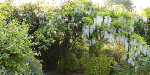 Gardening Ideas you dont need any big yards and garden spaces to fulfill your ideas about gardening with beautiful flowers and plants these kind of vertical gardens does Gardening Ideas Gardening Ideas container gardening ideas for flowers vegetable container Gardening Ideas