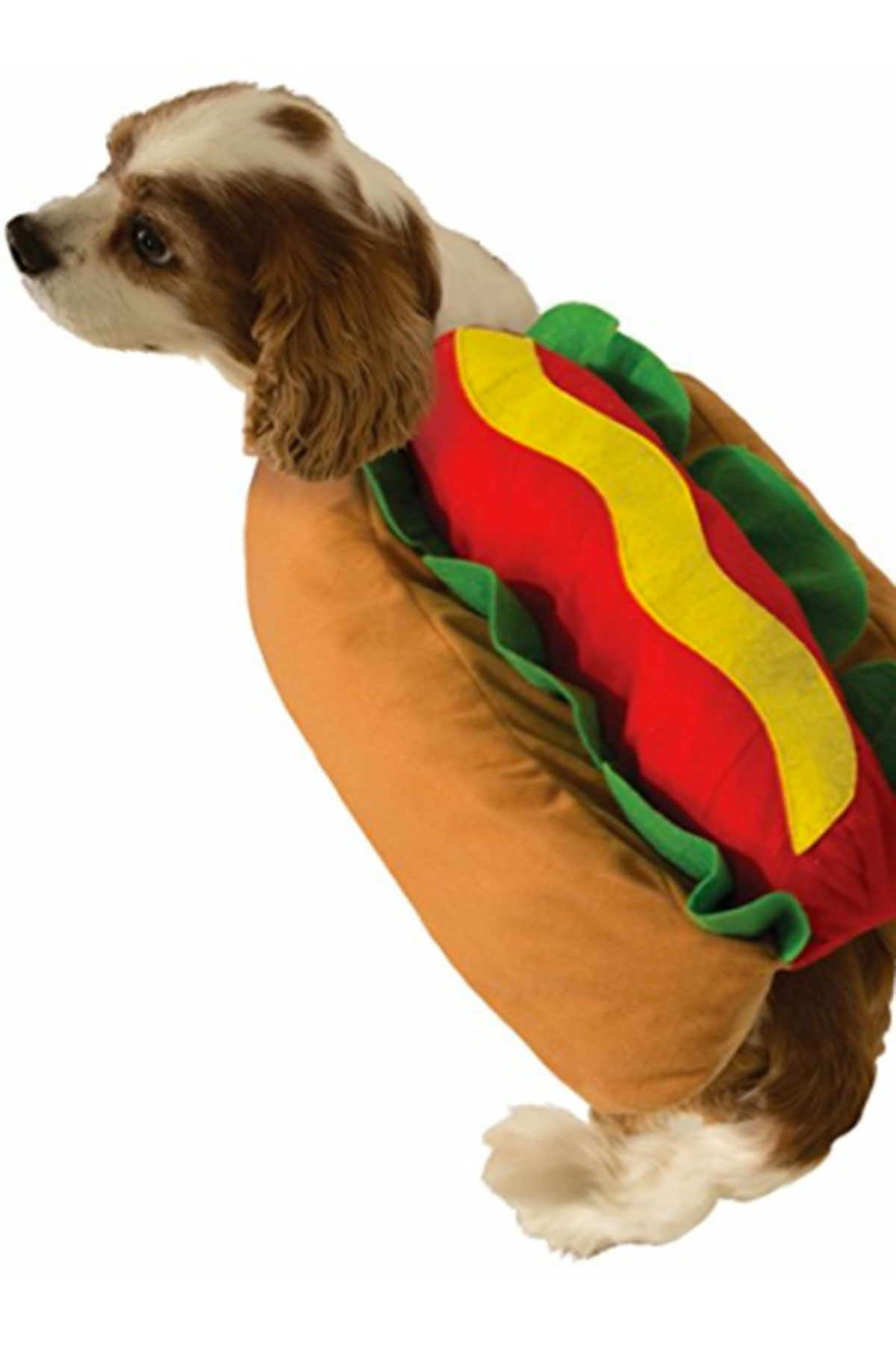 25 Cute Dog and Cat Halloween Costumes Best Ideas for Pet Halloween