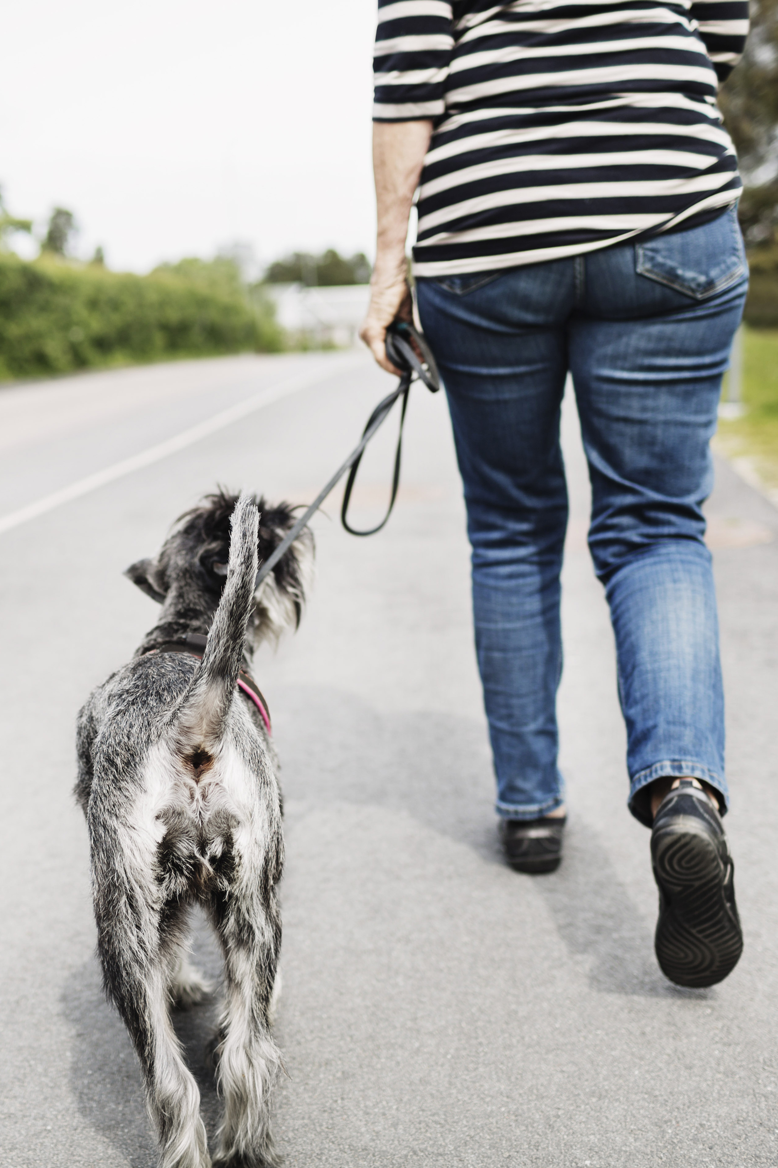 The 25 Best Jobs for People Who Live In Small Towns Small Town Job Ideas