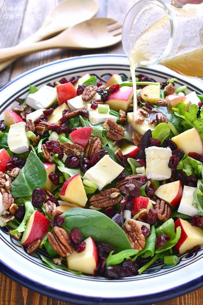 12 Best Apple Salad Recipes Easy Fall Salads with Apples