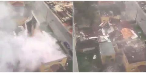 2019 year - 8 Incredible Ways Animals Were Rescued During Hurricane Irma 2019 year