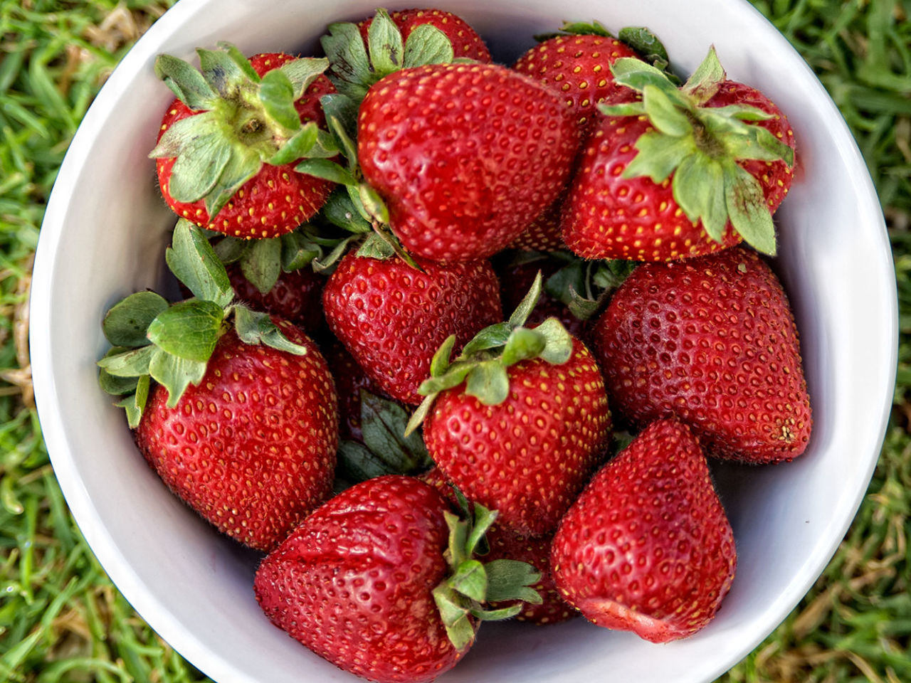 Can Dogs Eat Grapes And Strawberries