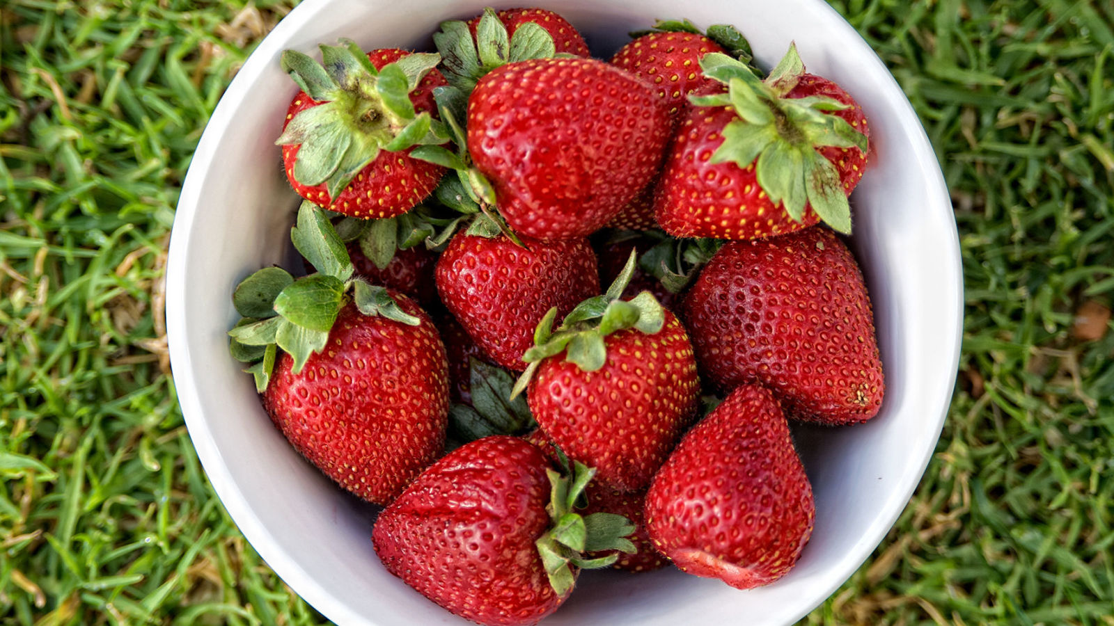 Are Strawberries Good For Dogs