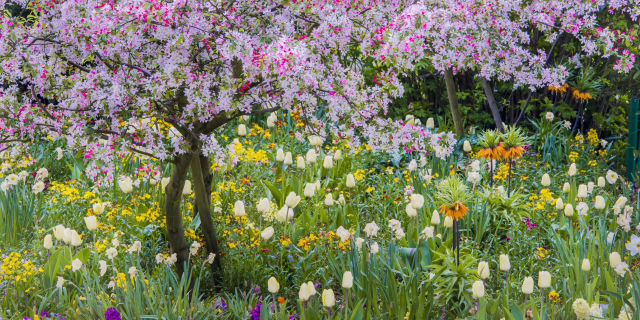 Backyard Landscaping On A Budget 12 cheap landscaping ideas - budget-friendly landscape tips for Backyard Landscaping On A Budget 12 cheap landscaping ideas - budget-friendly landscape tips for