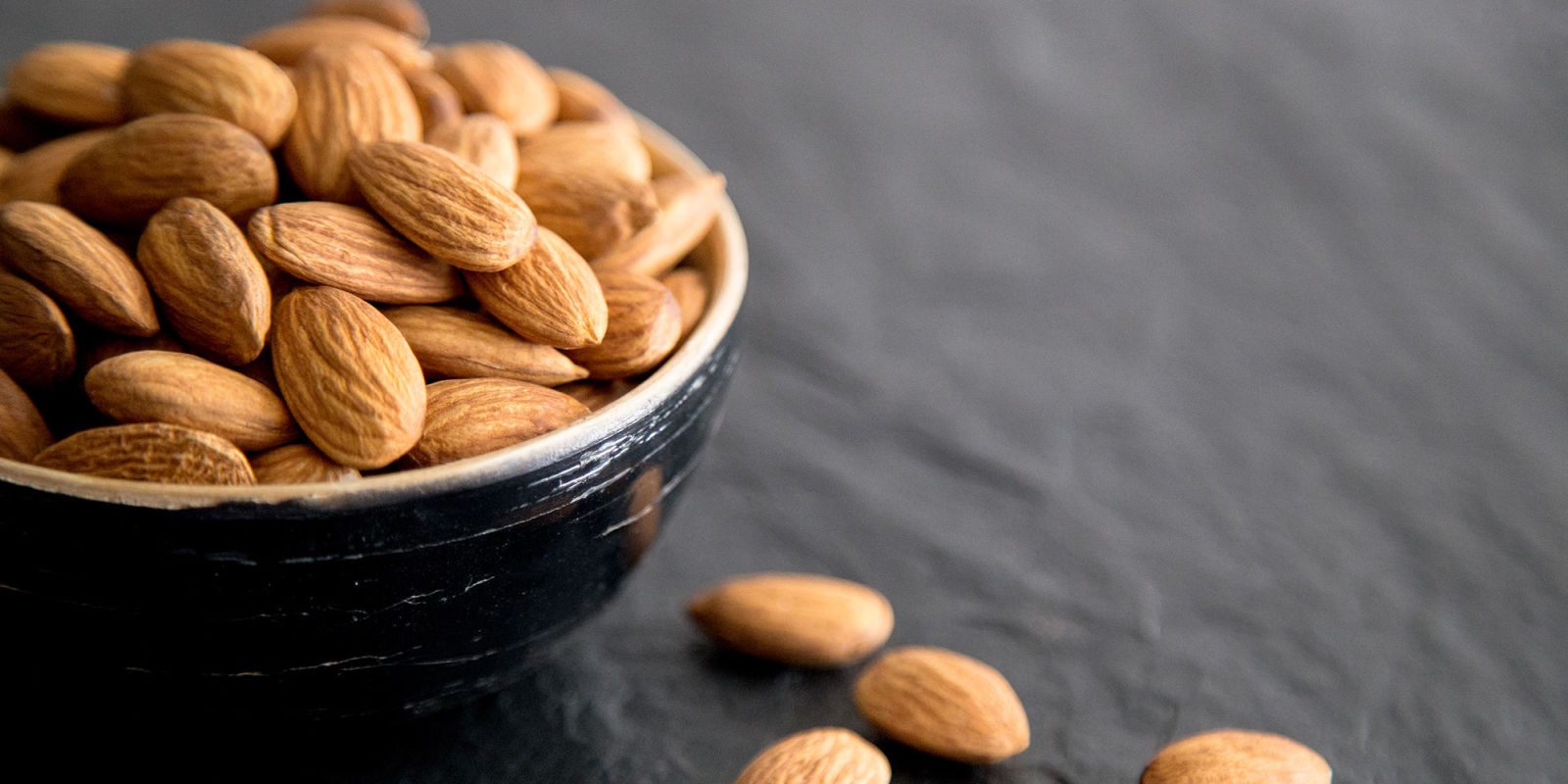 are almonds bad for dogs can dogs eat almonds are almonds or bad for dogs to are almonds bad for dogs can dogs eat almonds are almonds or bad for dogs to