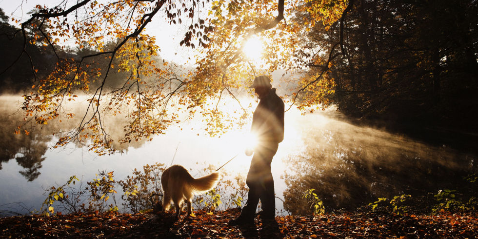 Forget Hygge: Ikigai Might be the Secret to Finding Longevity and Purpose In Life