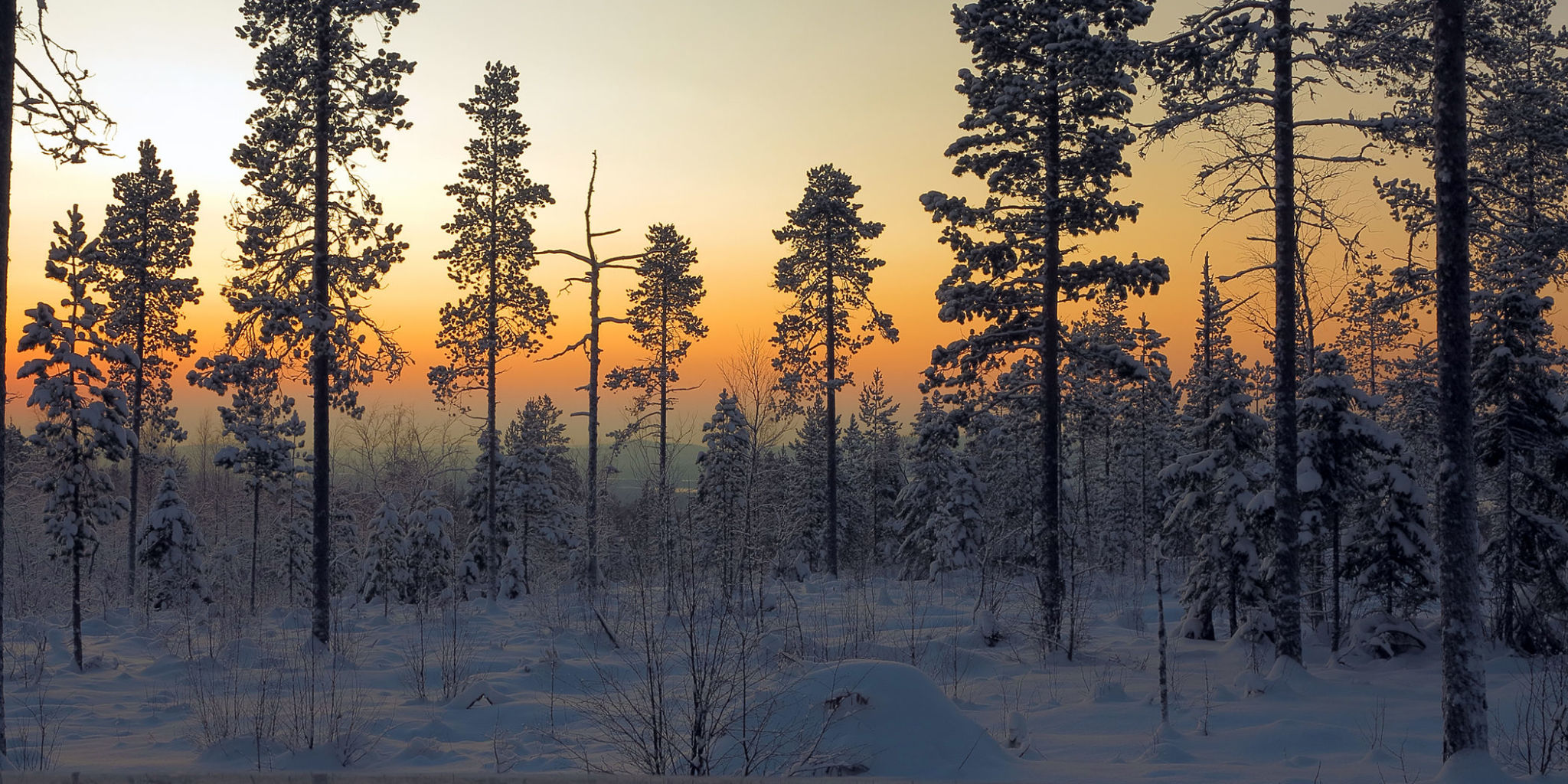 Winter Solstice - How Long Is the Shortest Day of the Year?