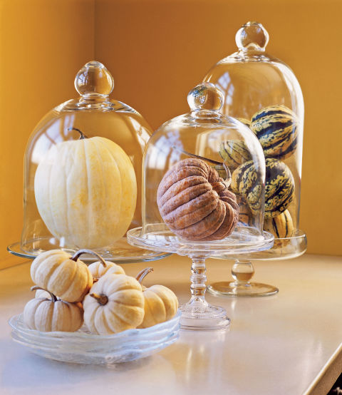 You may have a jack-o'-lantern on the porch, but these beauties from the Great Pumpkin Patch in Arthur, Illinois, take the Cucurbita to new heightsâ€”especially when elevated on cake stands, a nod to their eventual conversion to a holiday treat.
