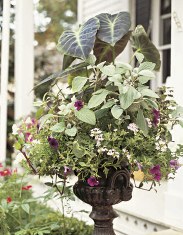 Container Garden Design Ideas brown containers garden with colorful flowers ideas above the wooden pattern tiles full size Flower Filled Urn Container Garden Design Ideas how to design a container garden Flower Filled Urn
