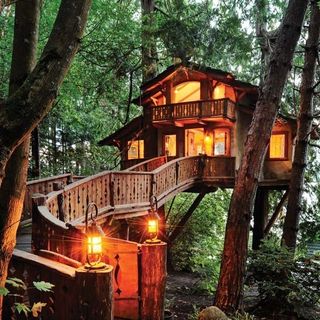 take a step inside this unique seattle home nestled between two cedar trees - Treehouse Masters Tree Houses Inside take a step inside this unique seattle home nestled between two cedar trees - Treehouse Masters Tree Houses Inside