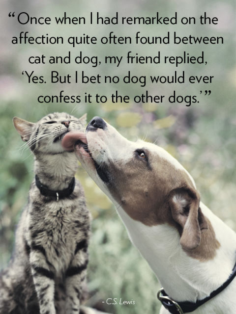 "Once When I had remarked on the affection quote often found between cat and dog, my friend replied, 'Yes. But I bet no dog would ever confess it to the other dogs.'" C.S. Lewis
