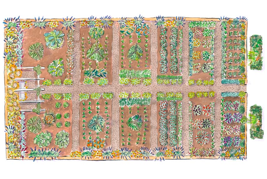 garden layout