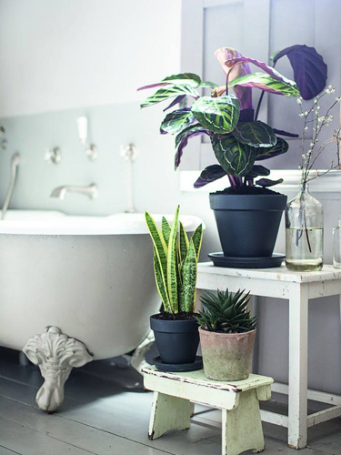 Garden Design Trends 2014 pinterest gardening ideas - outdoor garden trends Garden Design Trends 2014 pinterest gardening ideas - outdoor garden trends
